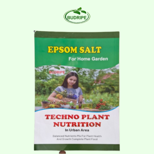 epsom salt